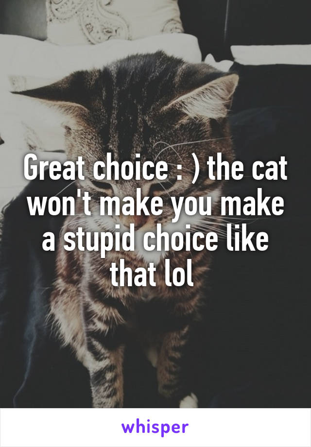 Great choice : ) the cat won't make you make a stupid choice like that lol 