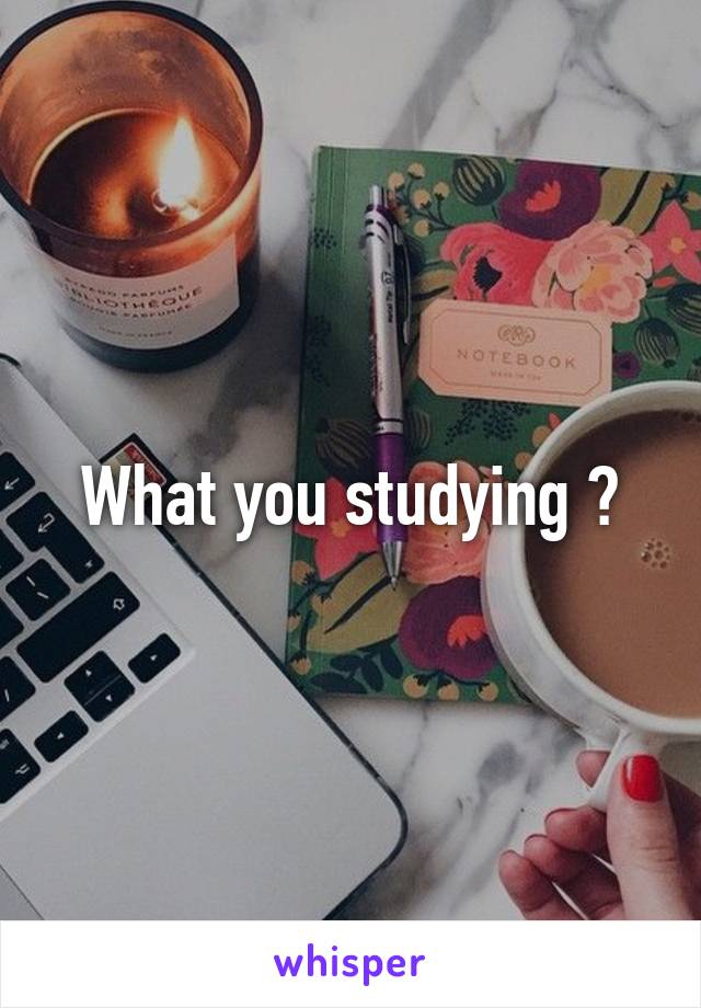 What you studying ?