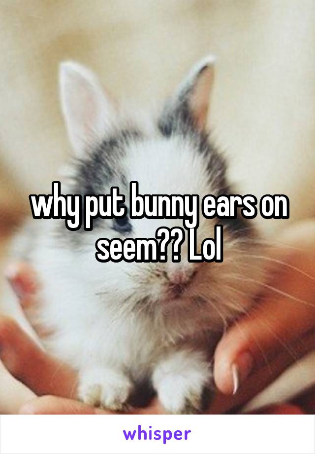 why put bunny ears on seem?? Lol