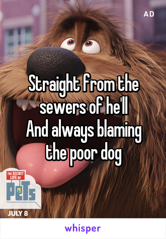 Straight from the sewers of he'll
And always blaming the poor dog