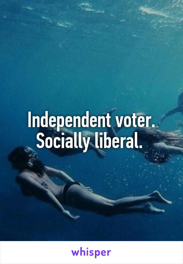 Independent voter. Socially liberal. 