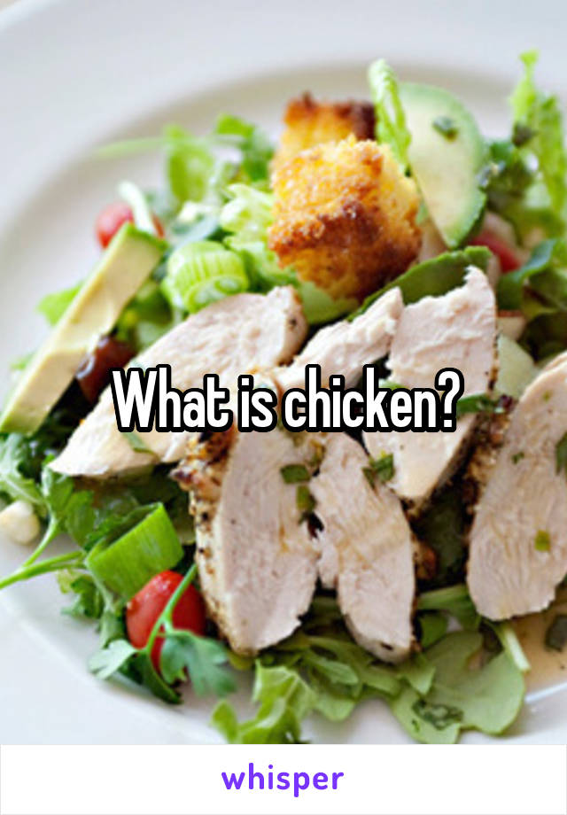 What is chicken?