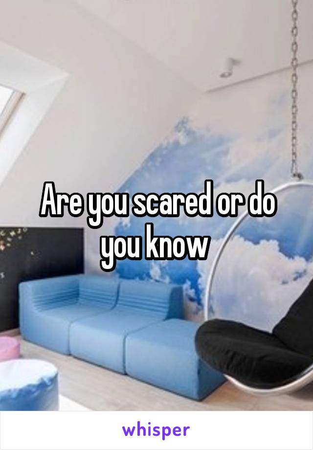 Are you scared or do you know 