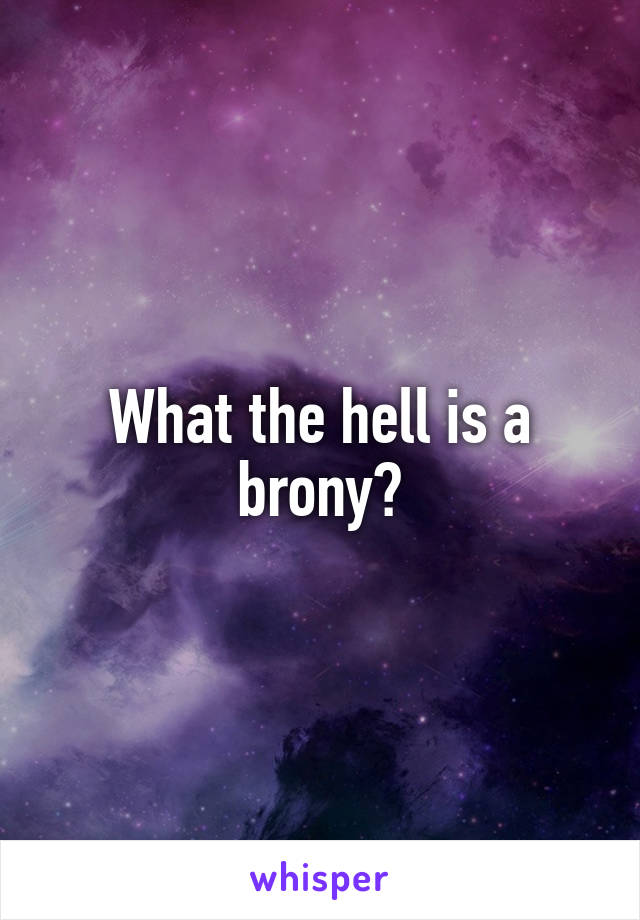 What the hell is a brony?
