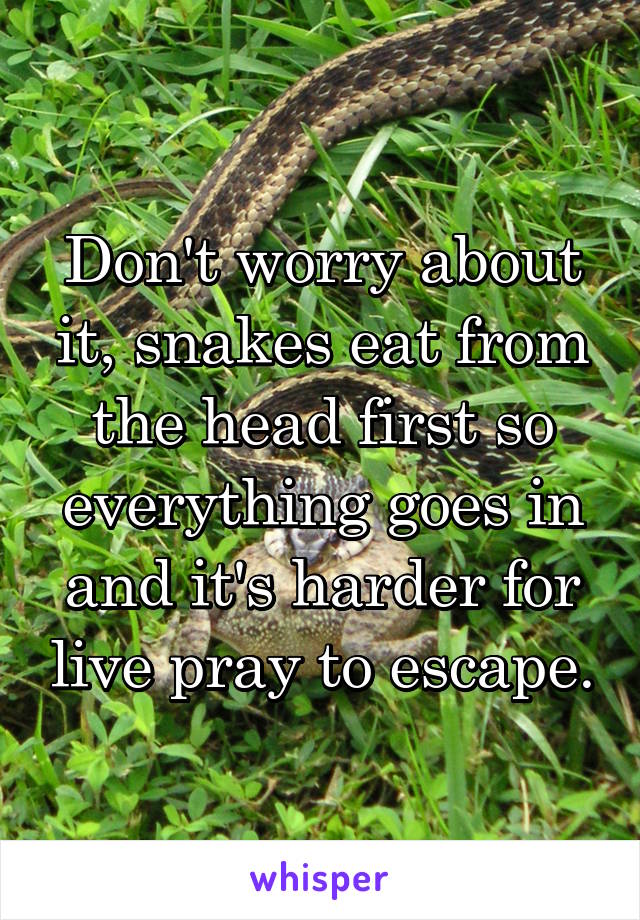 Don't worry about it, snakes eat from the head first so everything goes in and it's harder for live pray to escape.