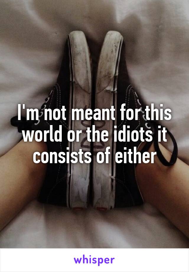 I'm not meant for this world or the idiots it consists of either