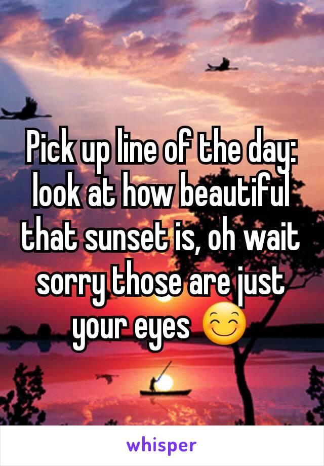 Pick Up Line Of The Day: Look At How Beautiful That Sunset Is, Oh Wait Sorry