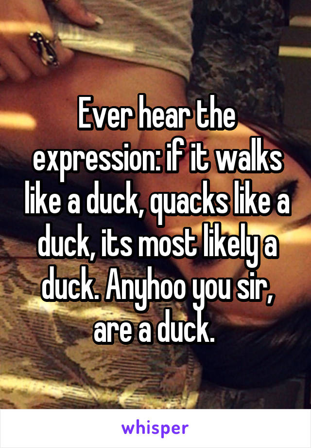 Ever hear the expression: if it walks like a duck, quacks like a duck, its most likely a duck. Anyhoo you sir, are a duck. 