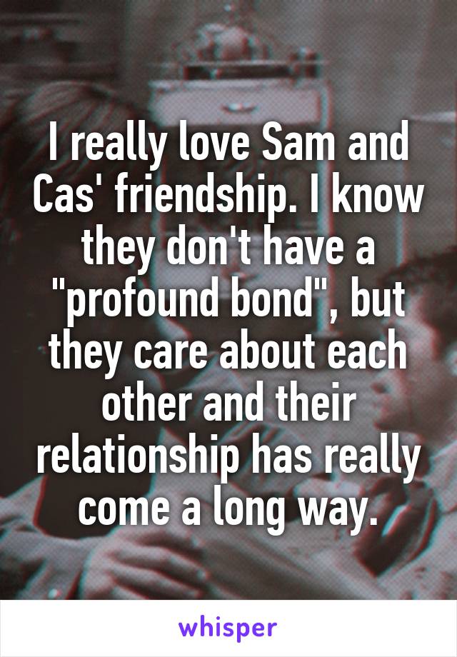 I really love Sam and Cas' friendship. I know they don't have a "profound bond", but they care about each other and their relationship has really come a long way.