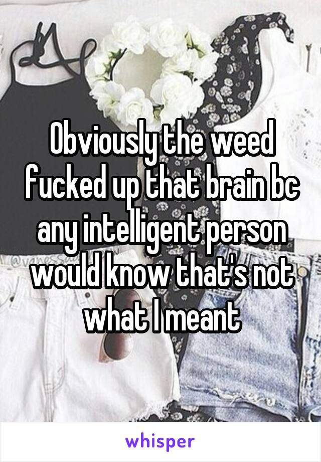 Obviously the weed fucked up that brain bc any intelligent person would know that's not what I meant
