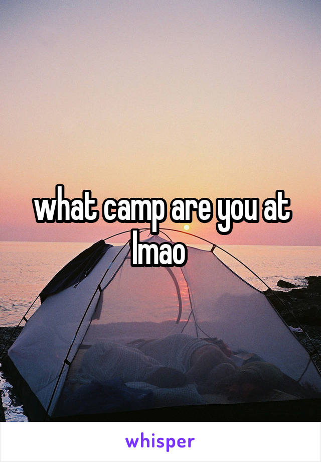 what camp are you at lmao 