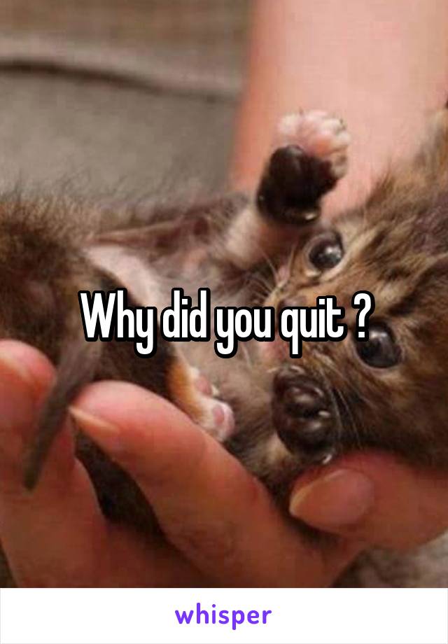 Why did you quit ?