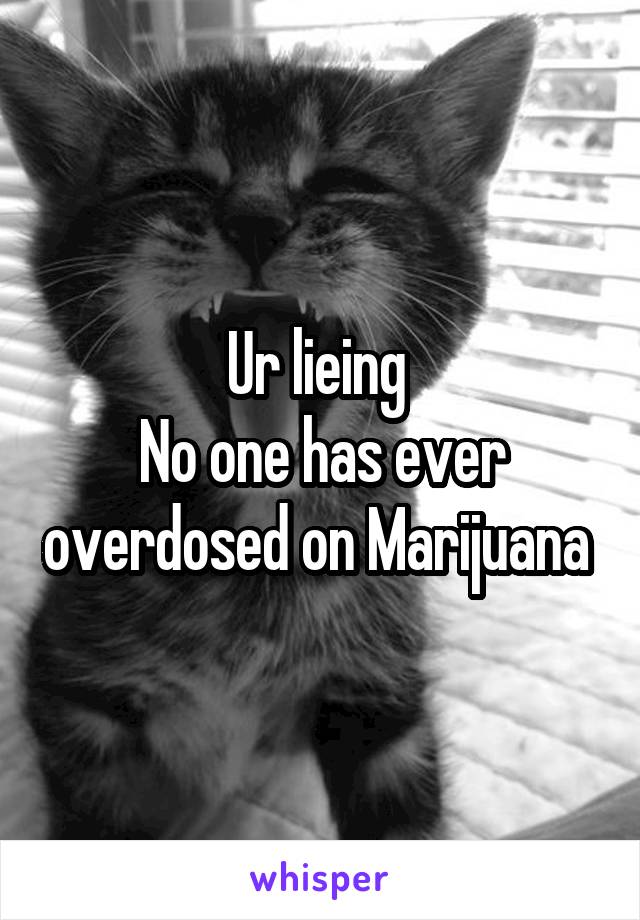 Ur lieing 
No one has ever overdosed on Marijuana 