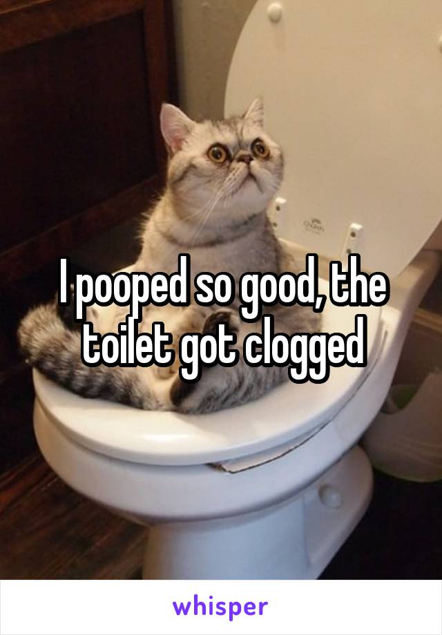 I pooped so good, the toilet got clogged