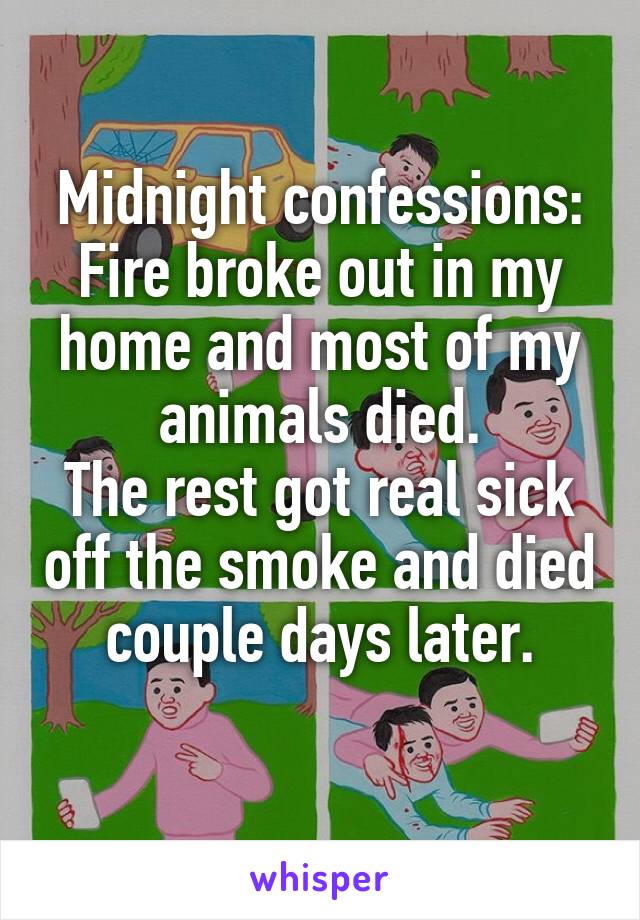 Midnight confessions:
Fire broke out in my home and most of my animals died.
The rest got real sick off the smoke and died couple days later.

