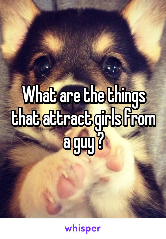 What are the things that attract girls from a guy ?