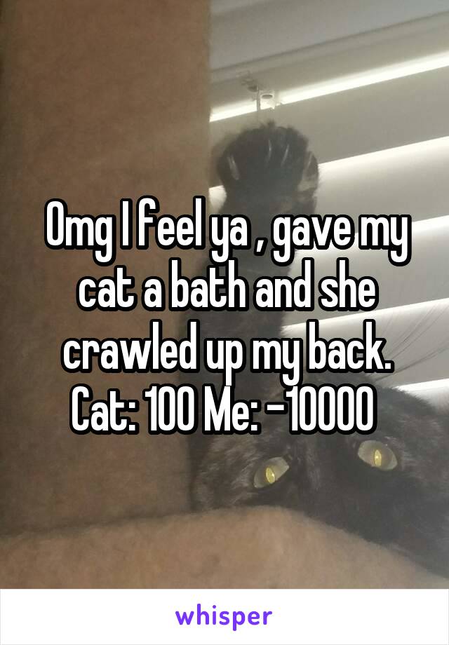 Omg I feel ya , gave my cat a bath and she crawled up my back. Cat: 100 Me: -10000 
