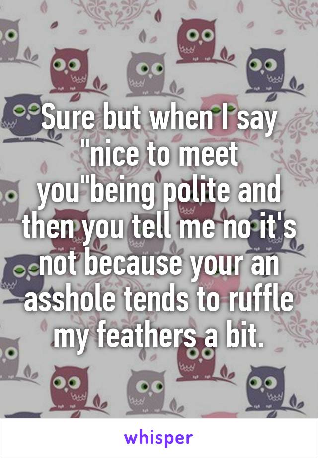 Sure but when I say "nice to meet you"being polite and then you tell me no it's not because your an asshole tends to ruffle my feathers a bit.