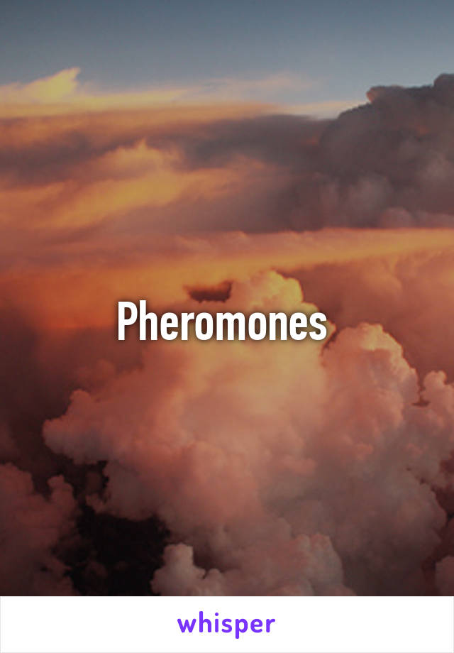 Pheromones 