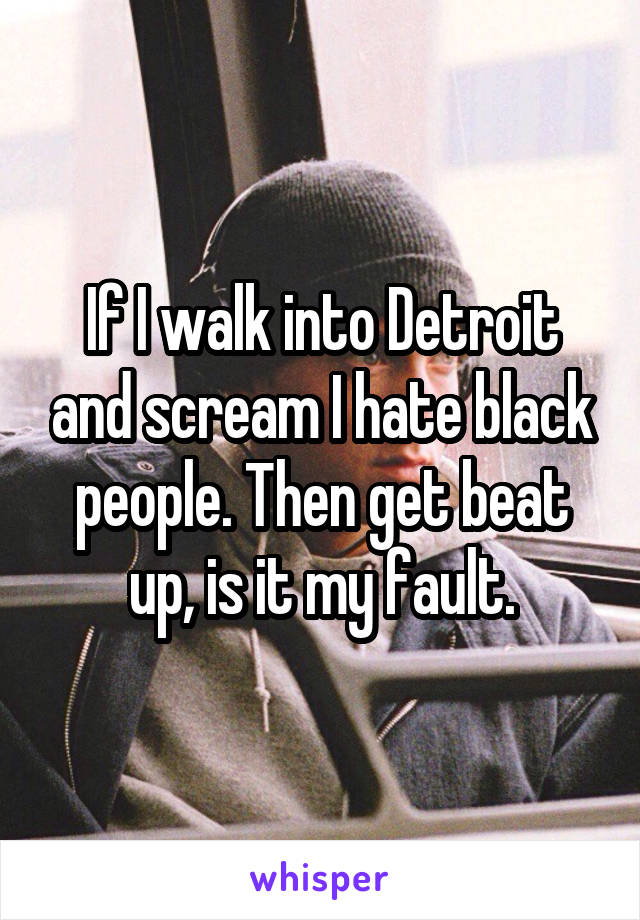 If I walk into Detroit and scream I hate black people. Then get beat up, is it my fault.