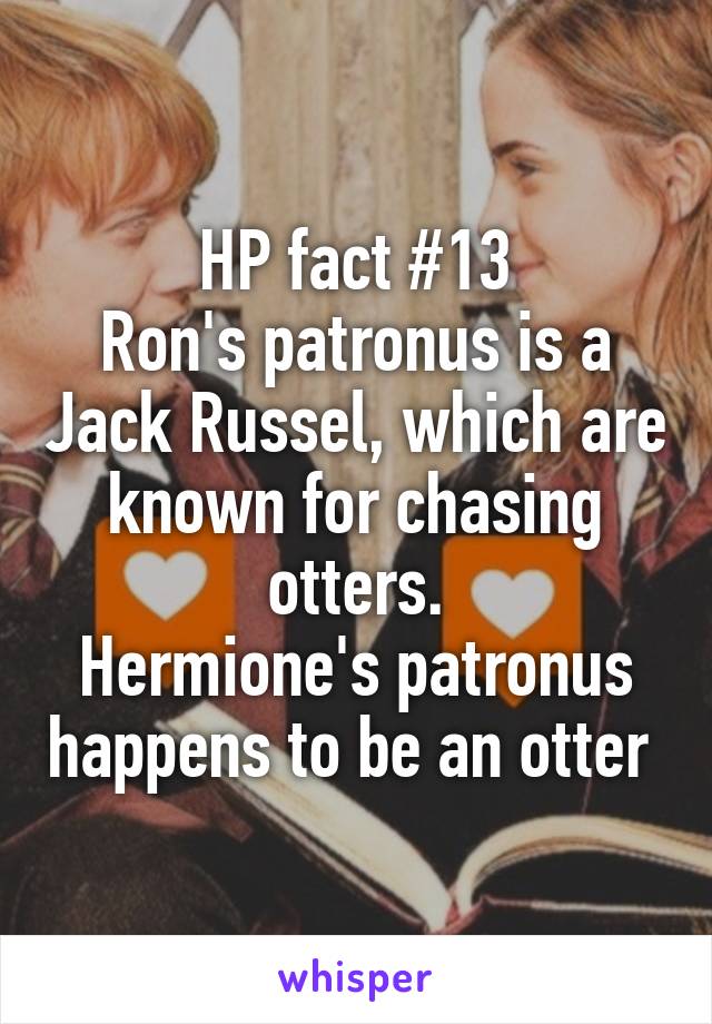 HP fact #13
Ron's patronus is a Jack Russel, which are known for chasing otters.
Hermione's patronus happens to be an otter 