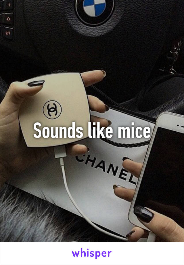 Sounds like mice