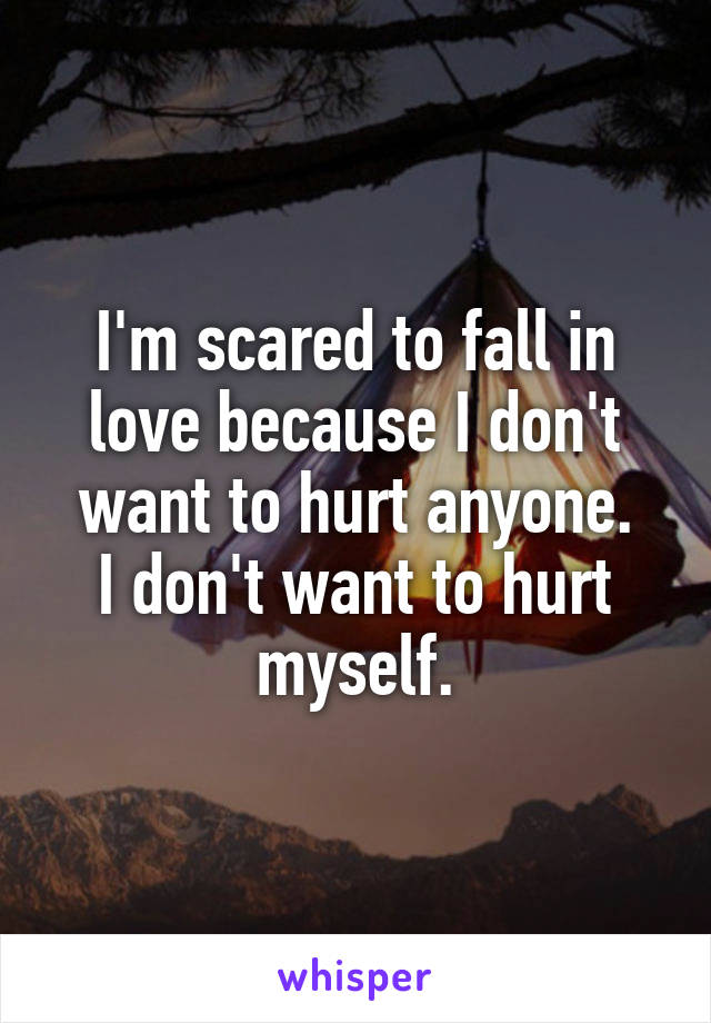 I'm scared to fall in love because I don't want to hurt anyone.
I don't want to hurt myself.
