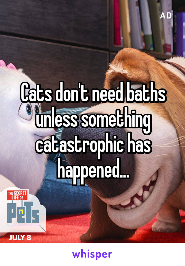 Cats don't need baths unless something catastrophic has happened...