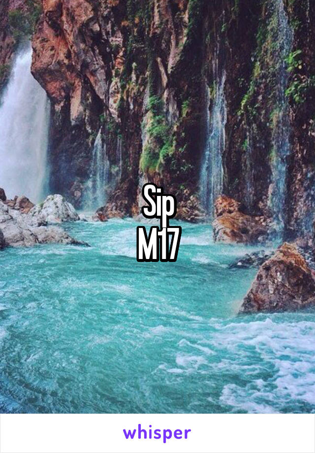 Sip
M17