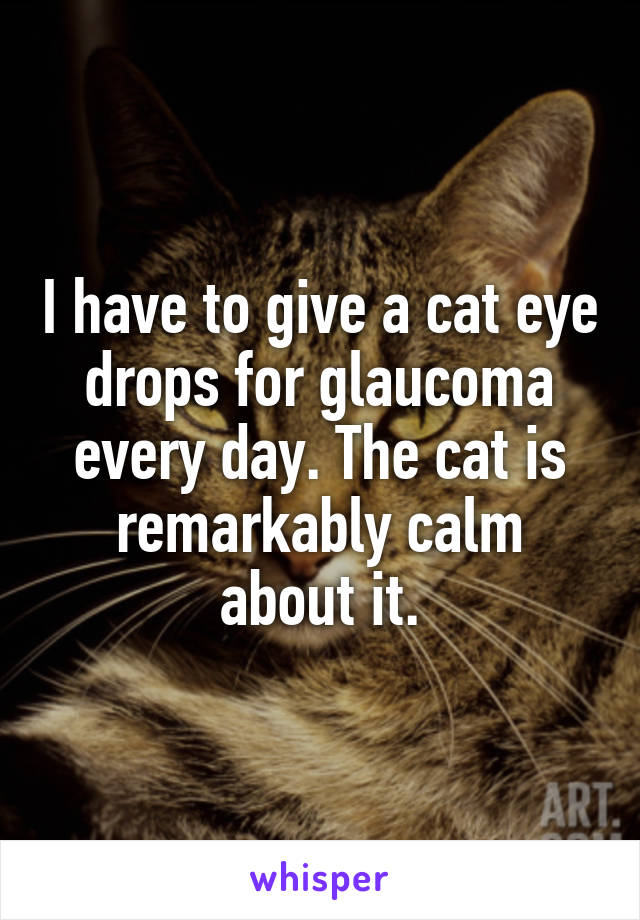 I have to give a cat eye drops for glaucoma every day. The cat is remarkably calm about it.