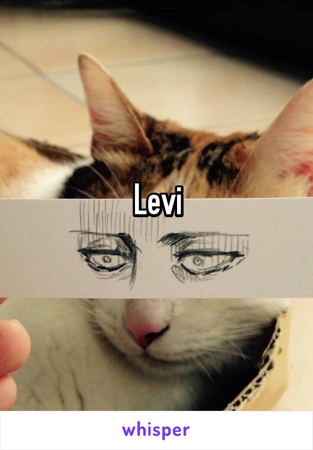Levi
