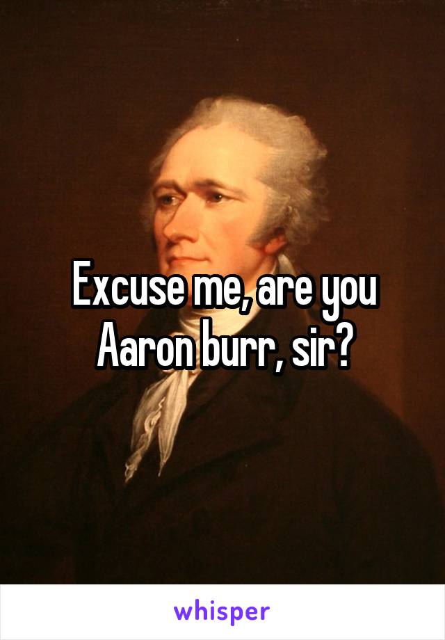 Excuse me, are you Aaron burr, sir?