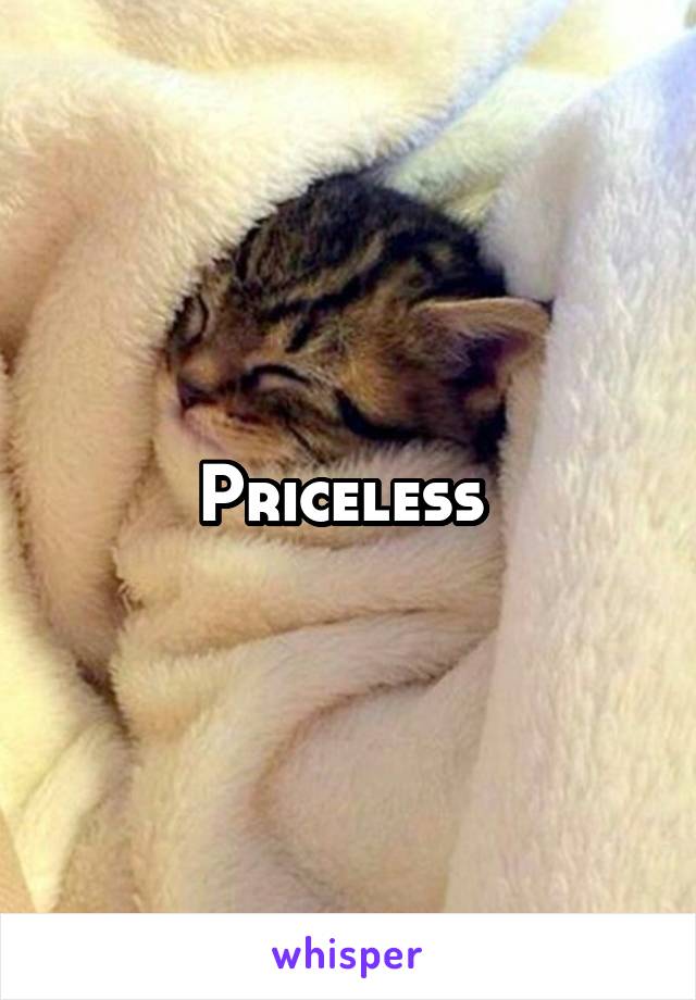 Priceless 