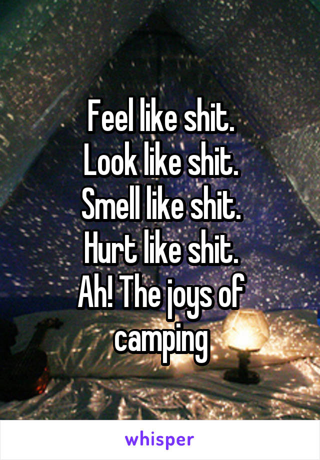 Feel like shit.
Look like shit.
Smell like shit.
Hurt like shit.
Ah! The joys of camping