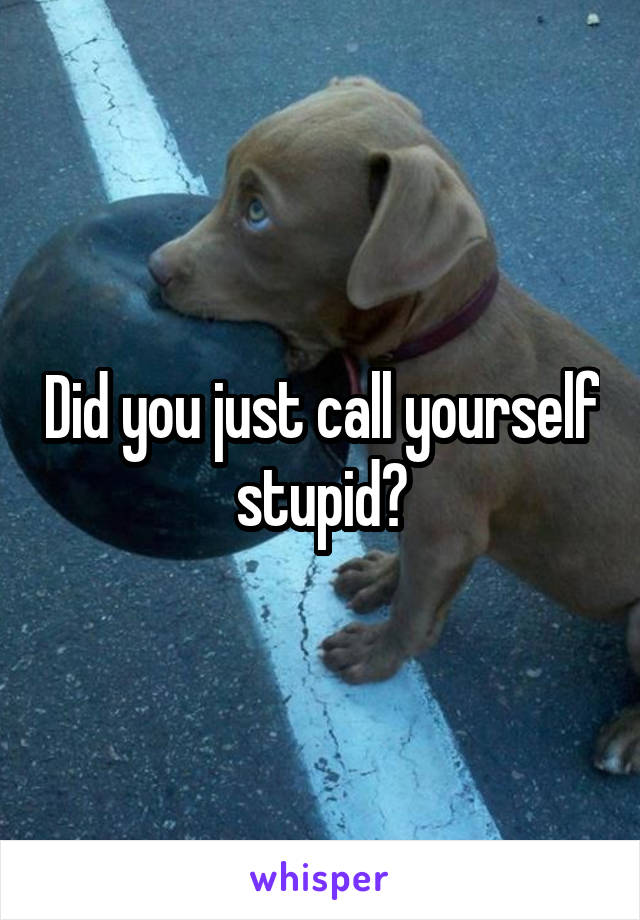 Did you just call yourself stupid?