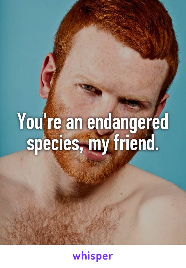 You're an endangered species, my friend.
