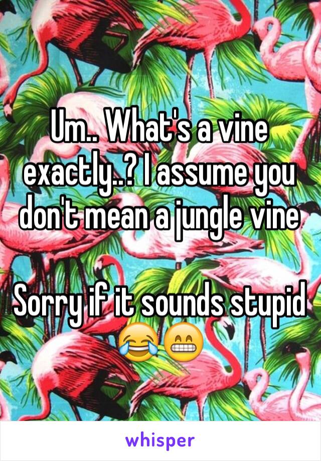 Um.. What's a vine exactly..? I assume you don't mean a jungle vine

Sorry if it sounds stupid 😂😁