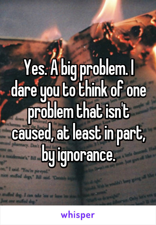 Yes. A big problem. I dare you to think of one problem that isn't caused, at least in part, by ignorance.