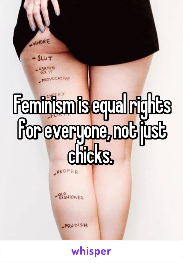 Feminism is equal rights for everyone, not just chicks. 
