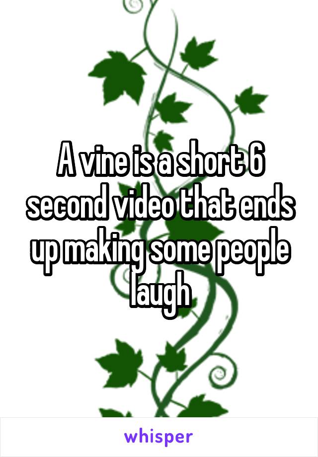 A vine is a short 6 second video that ends up making some people laugh