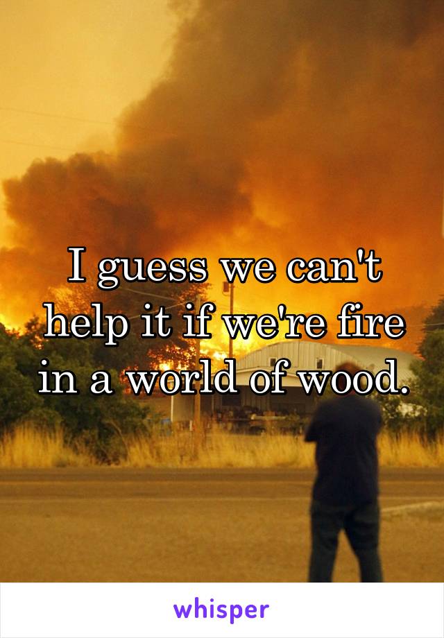 I guess we can't help it if we're fire in a world of wood.