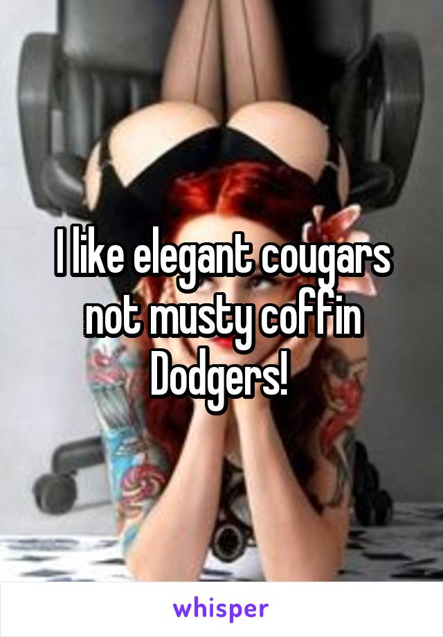 I like elegant cougars not musty coffin Dodgers! 