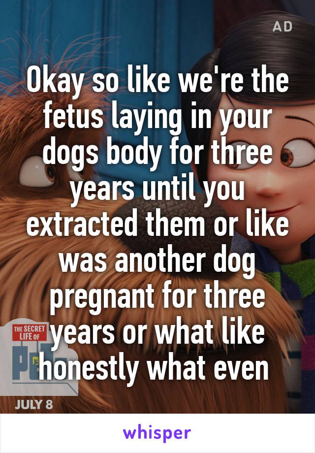 Okay so like we're the fetus laying in your dogs body for three years until you extracted them or like was another dog pregnant for three years or what like honestly what even 