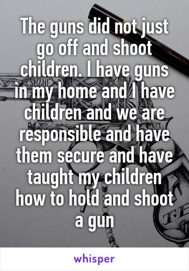 The guns did not just go off and shoot children. I have guns in my home and I have children and we are responsible and have them secure and have taught my children how to hold and shoot a gun
