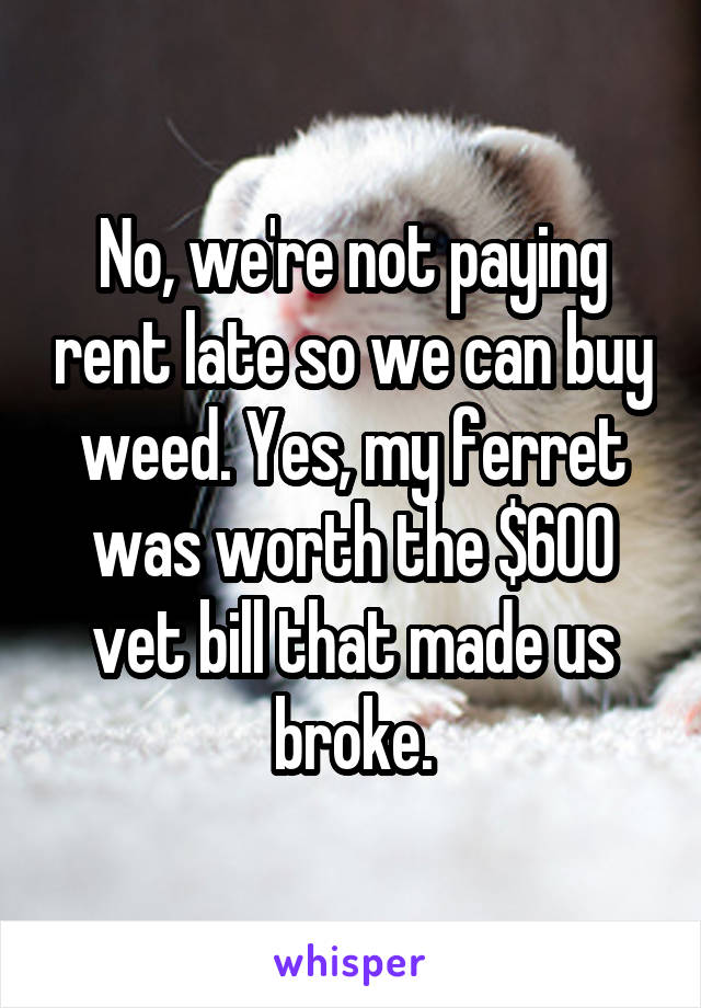 No, we're not paying rent late so we can buy weed. Yes, my ferret was worth the $600 vet bill that made us broke.