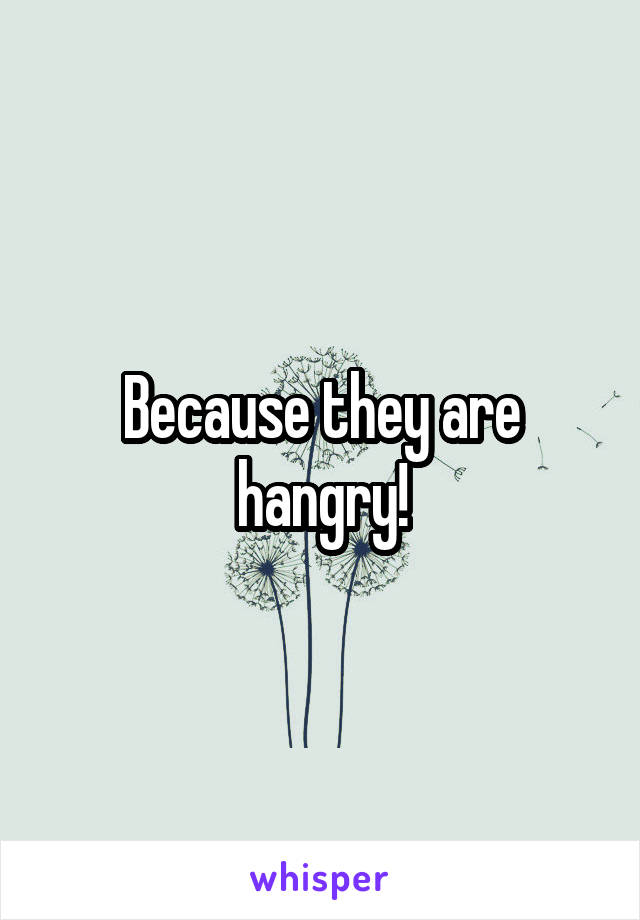 Because they are hangry!