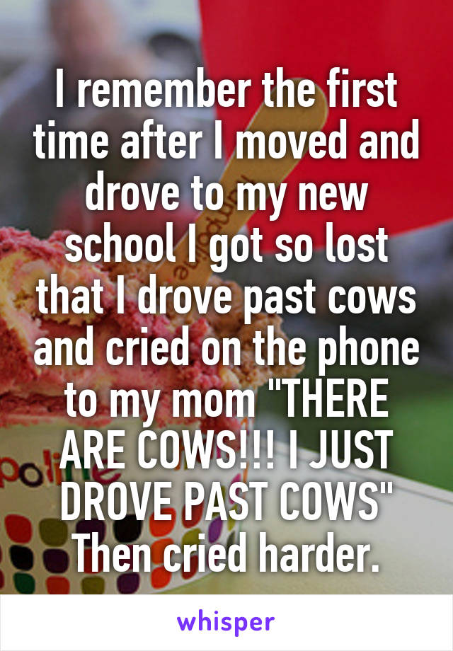 I remember the first time after I moved and drove to my new school I got so lost that I drove past cows and cried on the phone to my mom "THERE ARE COWS!!! I JUST DROVE PAST COWS" Then cried harder.