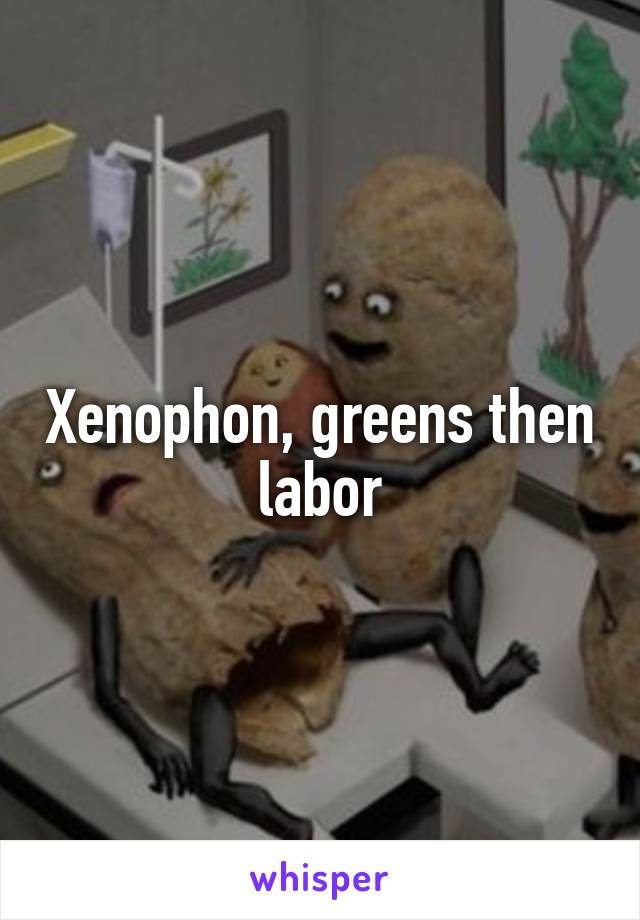 Xenophon, greens then labor