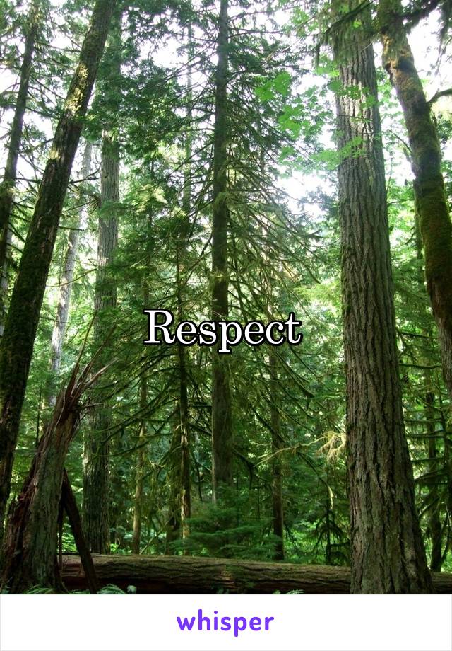 Respect 