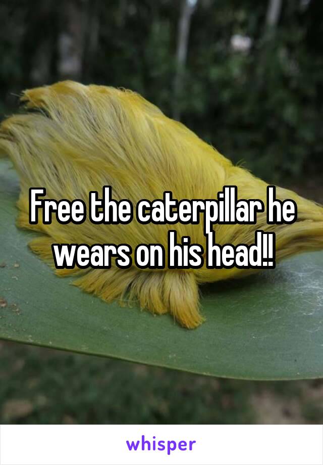 Free the caterpillar he wears on his head!!